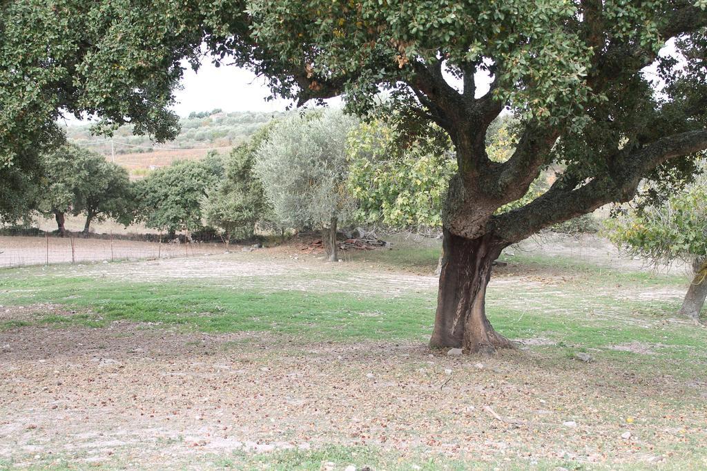 Agriturismo Su Recreu Ittiri Luaran gambar