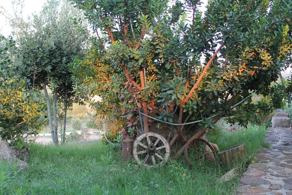 Agriturismo Su Recreu Ittiri Luaran gambar