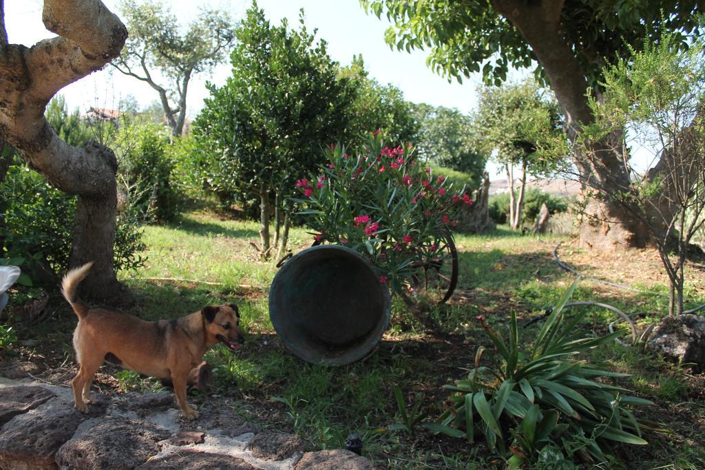 Agriturismo Su Recreu Ittiri Luaran gambar