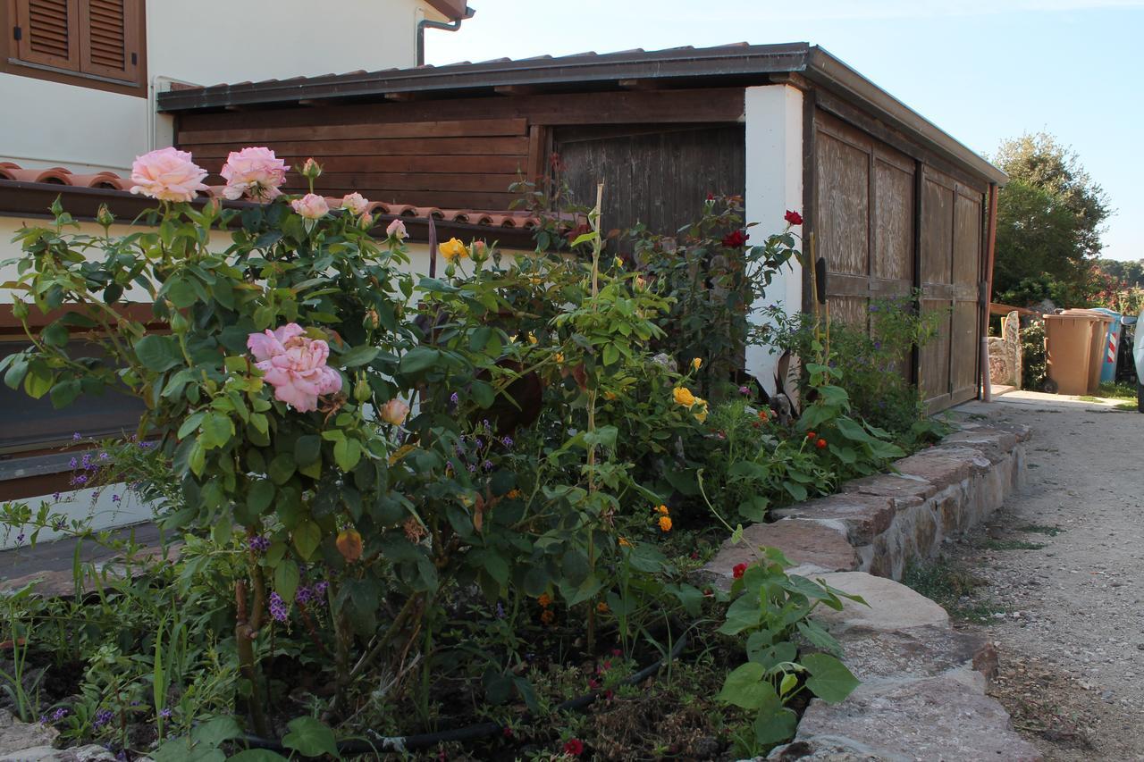 Agriturismo Su Recreu Ittiri Luaran gambar