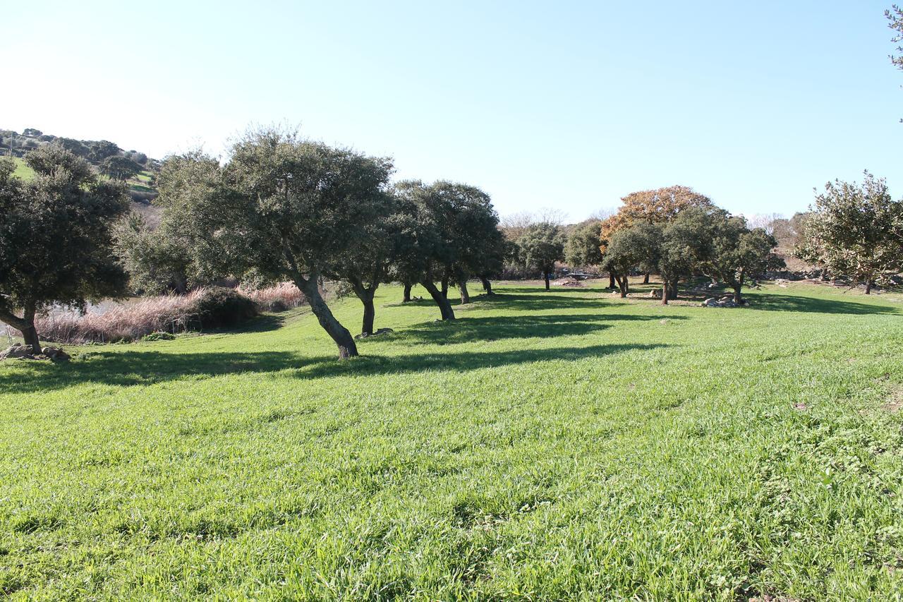 Agriturismo Su Recreu Ittiri Luaran gambar